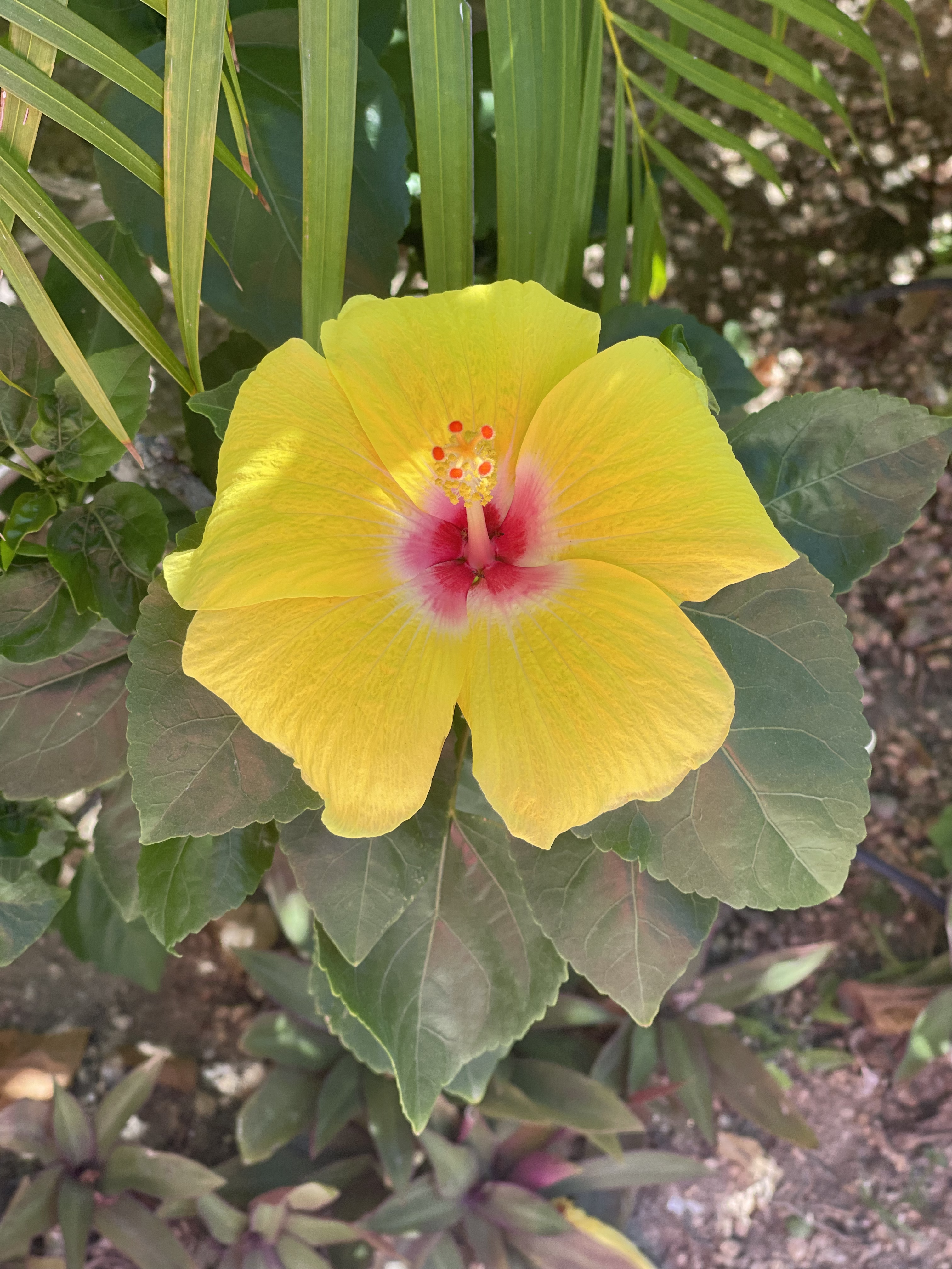 STOP DOING TO GET THINGS DONE