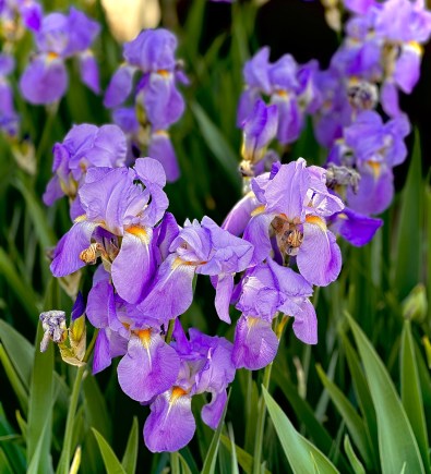 Being Accountable to Your Perfection