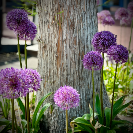 What Is, Is What’s Supposed to Be