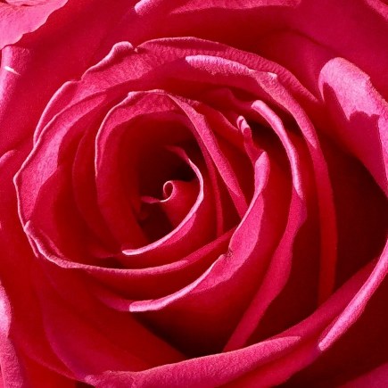 Opening into What is Already Here