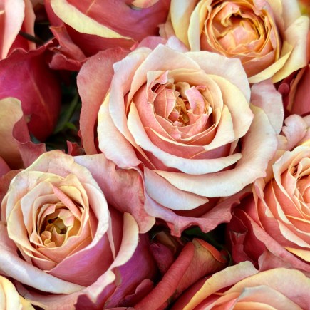 What is Actually Getting Done?