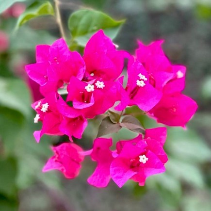 Your Experience is Yours