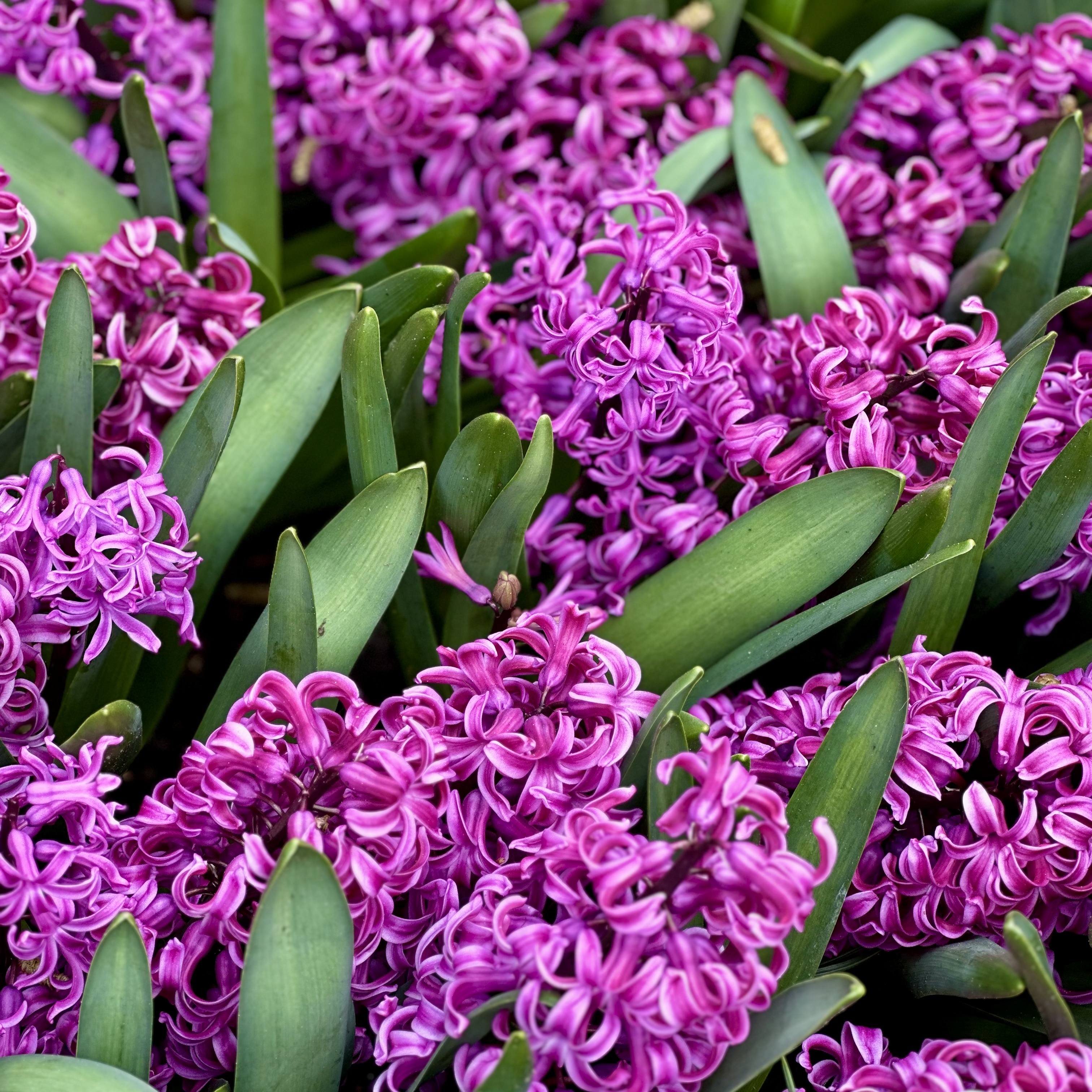 Messages from the body