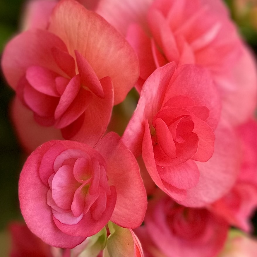 Stabilizing in the Frequency of Love
